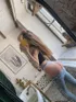 Анкета шлюхи Саша, возраст 25 лет, брюнетка, размер груди второй, метро Митино, район Митино, цена 6000 руб 1 час, Фото 3, заказ по тел. +7 920 854-09-88, №1151