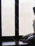 Анкета путаны Лена, возраст 24 года, брюнетка, размер груди первый, метро Котельники, район Выхино-Жулебино, цена 5000 руб 1 час, Фото 1, заказ по тел. +7 903 363-85-43, №1462