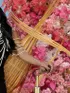 Шлюха Агата, возраст 26 лет, брюнетка, размер груди второй, метро Отдых, район Некрасовка, цена 15000 руб 1 час, Фото 1, заказ по тел. +7 904 148-93-34, №7995