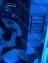 Анкета индивидуалки Вика, возраст 21 год, брюнетка, размер груди первый, метро Новослободская, район Тверской, цена 8000 руб 1 час, Фото 3, заказ по тел. +7 901 427-79-49, №8336