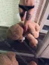 Анкета индивидуалки Яна, возраст 22 года, брюнетка, размер груди второй, метро Митино, район Митино, цена 6000 руб 1 час, Фото 3, заказ по тел. +7 921 171-11-92, №12778