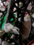 Проститутка Алеся, возраст 23 года, брюнетка, размер груди второй, метро Алексеевская, район Алексеевский, цена 7000 руб 1 час, Фото 4, заказ по тел. +7 929 686-14-17, №12980