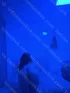 Анкета проститутки Алиса, возраст 31 год, брюнетка, размер груди второй, метро Волоколамская, район Митино, цена 6000 руб 1 час, Фото 3, заказ по тел. +7 920 080-21-32, №13116