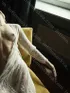 Анкета индивидуалки Юля, возраст 23 года, брюнетка, размер груди второй, метро Планерная, район Северное Тушино, цена 8000 руб 1 час, Фото 3, заказ по тел. +7 920 732-16-39, №20697