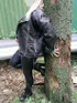 Анкета шлюхи Хельга, возраст 41 год, блондинка, размер груди пятый, метро Косино, район Косино-Ухтомский, цена 4000 руб 1 час, Фото 1, заказ по тел. +7 901 556-64-44, №21280