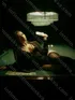 Индивидуалка Мария, возраст 31 год, шатенка, размер груди третий, метро Бутырская, цена 7000 руб 1 час, Фото 2, заказ по тел. +7 902 138-68-54, №30347